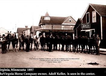 Virginia Horse Company 1897